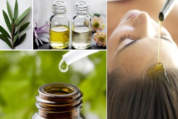Điều trị viêm nang lông da đầu để ngăn rụng tóc 7 Sử dụng tinh dầu tràm trà trong điều trị rụng tóc