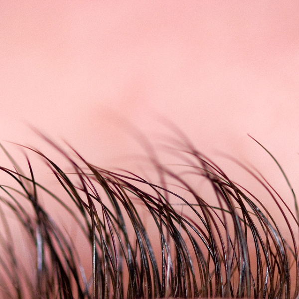Dầu argan chống rụng tóc như thế nào? 3 Nuôi dưỡng da đầu là một cách để chống rụng tóc