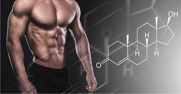Rụng tóc do DHT là gì? Có khắc phục được không? 4 DHT có vai trò quan trọng trong việc hình thành các đặc điểm giới tính