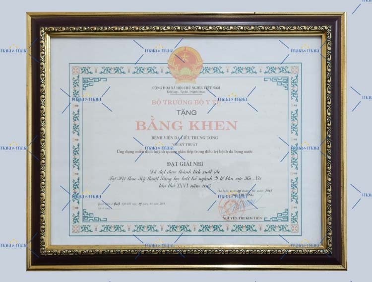 bang khen bac si thanh 2