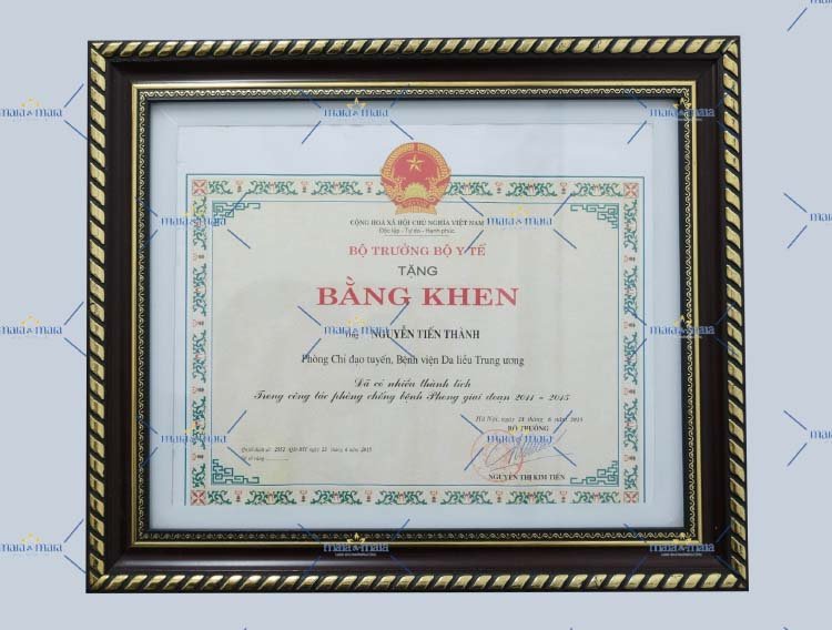bang khen bac si thanh 5