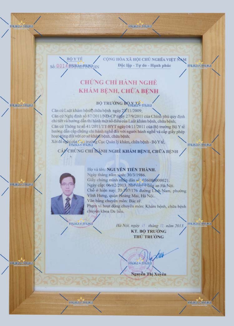 giay phep hanh nghe bac si thanh 1