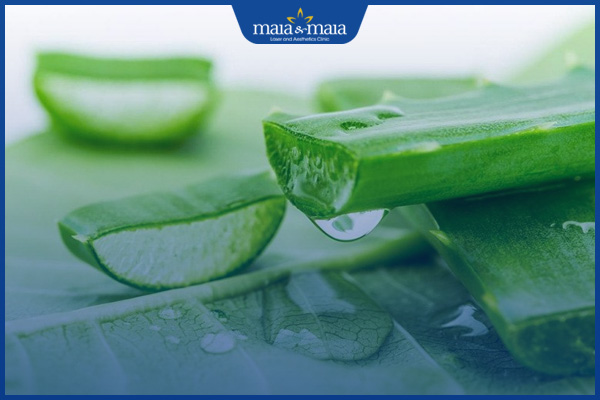 xóa mụn ở trán bằng nha đam