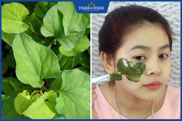 diếp cá trị mụn ẩn tại nhà