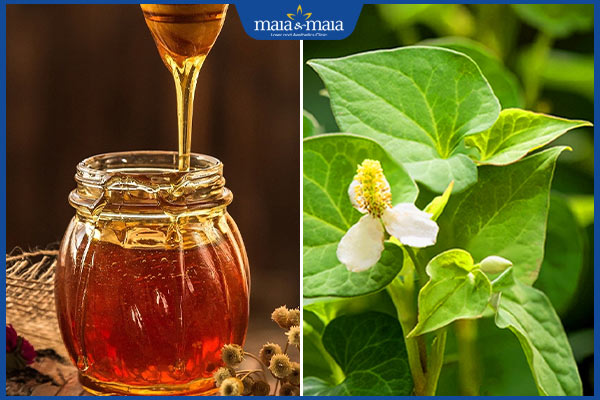 rau diếp cá và mật ong