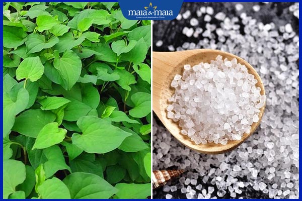 rau diếp cá và muối