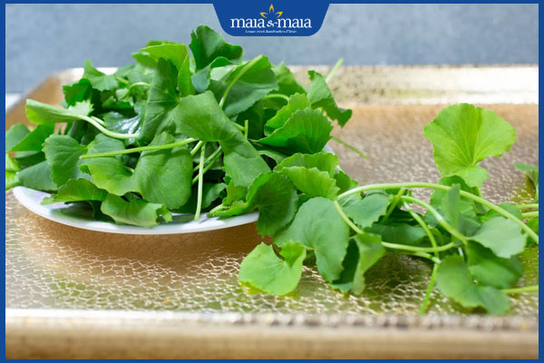 rau má trị mụn ẩn