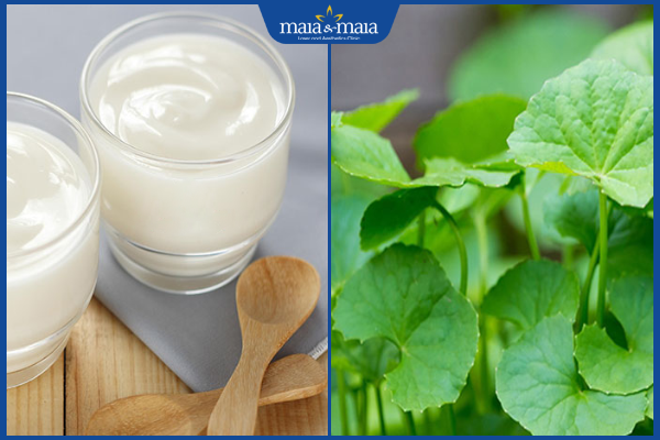 rau má và sữa chua