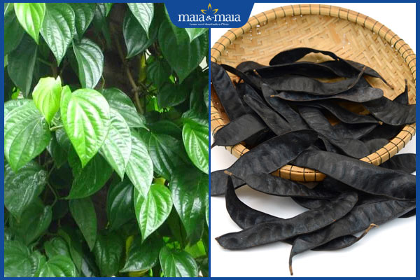 lá trầu không bồ kết