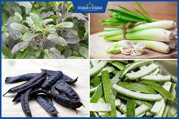 thảo dược khác