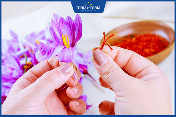 tinh chất hoa nghệ tây