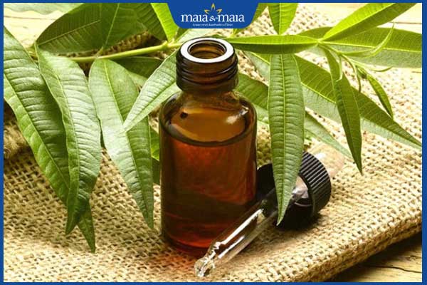hết mụn bọc bằng tinh dầu tràm trà