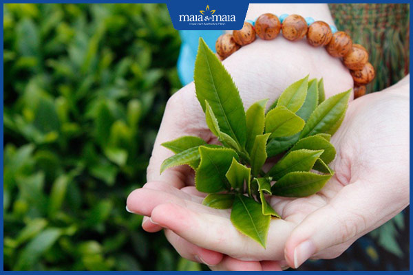 mẹo trị mụn bọc