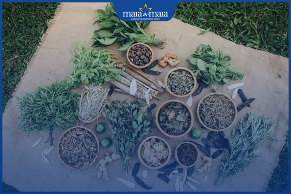 thảo dược ngăn rụng tóc