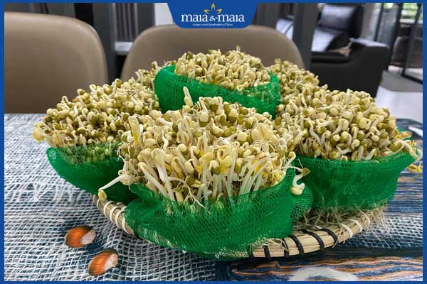tự làm giá đỗ tại nhà