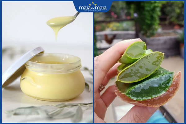 chữa nám từ sữa ong chúa và nha đam