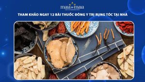 bài thuốc đông y trị rụng tóc