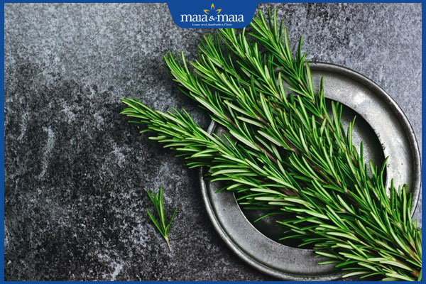 Tìm hiểu 10 bài thuốc dân gian kích thích mọc tóc tại nhà 6 hương thảo