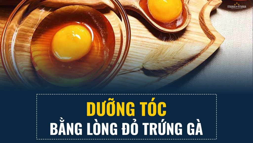 duong toc bang long do trung