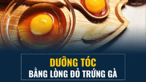 duong toc bang long do trung