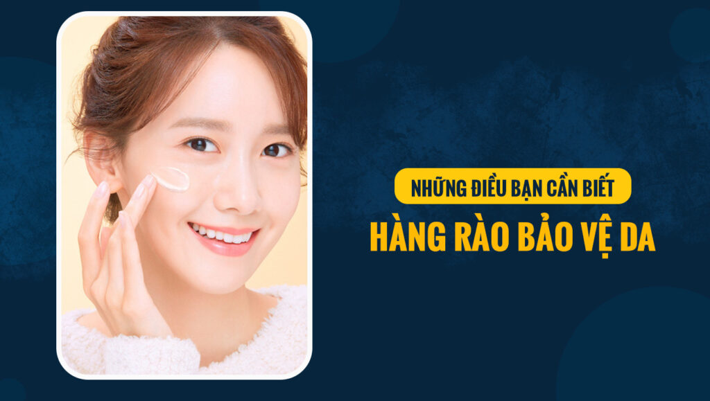hang rao bao ve da 6