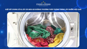 giặt đồ chung có bị lây sùi mào gà không
