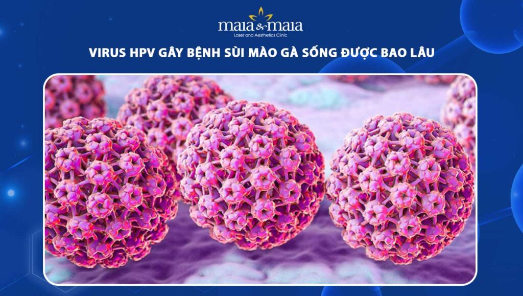 virus HPV gây bệnh sùi mào gà sống được bao lâu