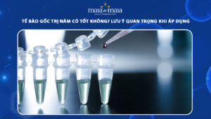 tế bào gốc trị nám