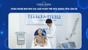 công nghệ maitrix ha